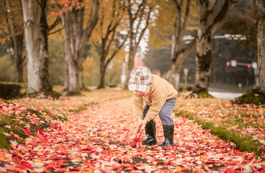 Summer To Fall: How We Adjust Our Vaping Routine for Cannabis Enjoyment 2 Summer To Fall: How We Adjust Our Vaping Routine for Cannabis Enjoyment