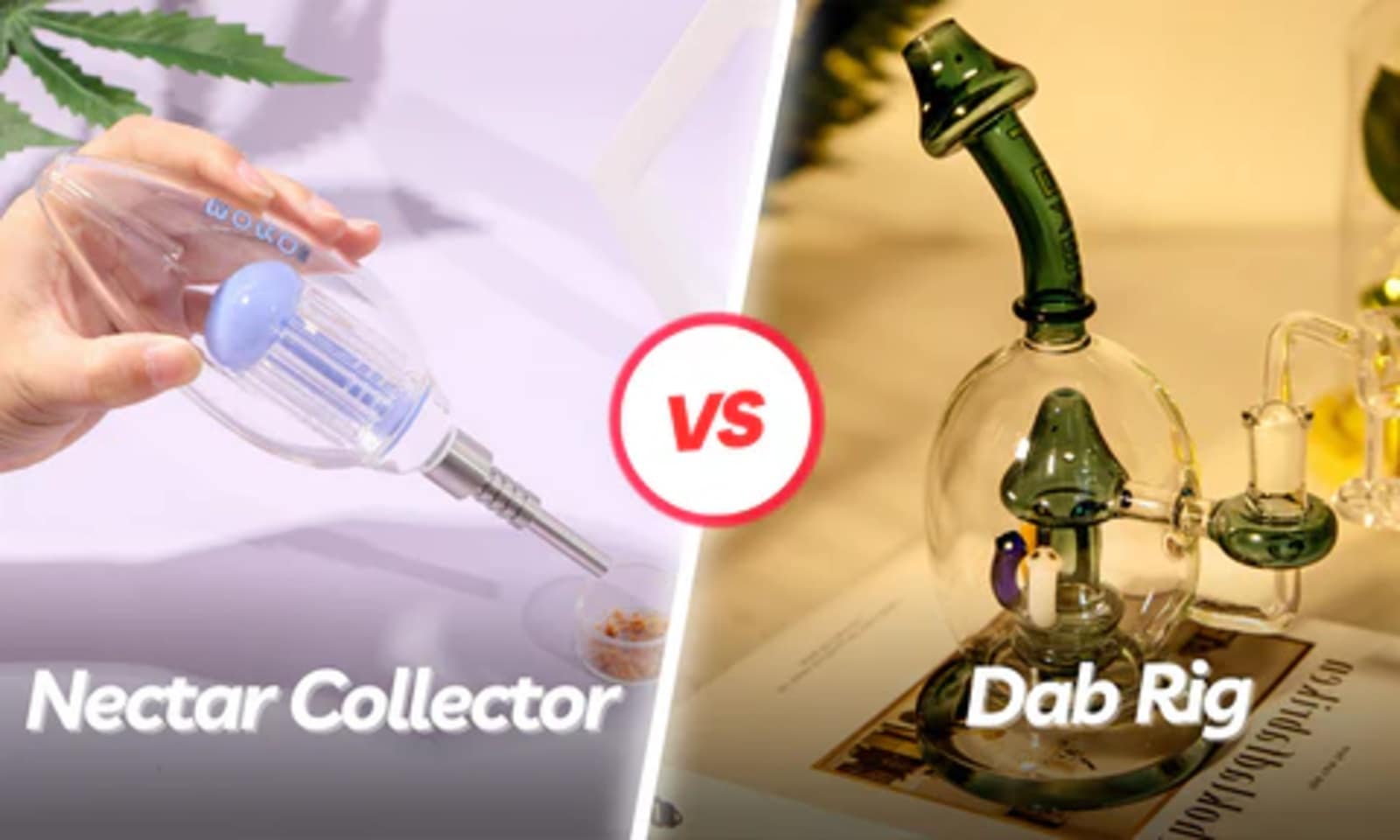 Nectar Collector vs Dab Rig - Which One is Right for You