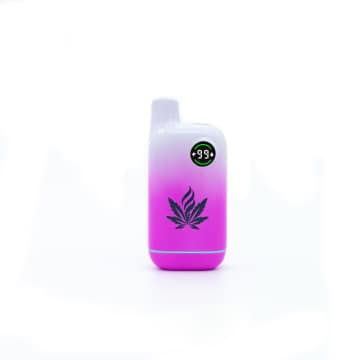 How to Buy the Right Vaporizer Online in 2025 1 图片1 2