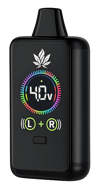 ChatGPT Image Feb 12 2026 04 02 16 PM e1770894232979