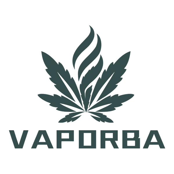 dry herb vaporizer