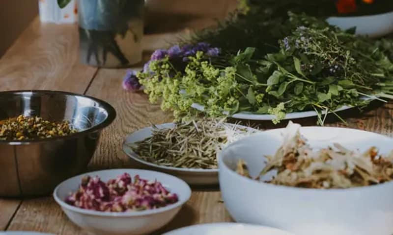 What Herbs Can be Vaporized 2 herbs can be vaporized