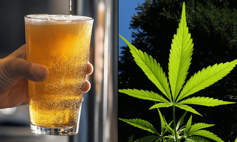 Cannabis Drinks Cut Alcohol Use by 39%—And Boost Sleep, Mood & Pain Relief, New Study Finds 2 Cannabis Drinks Cut Alcohol Use by 39