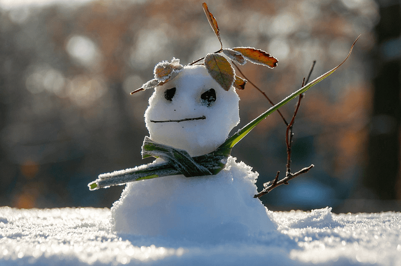 How to Prevent Your Vaporizer Batteries from Dying in Cold Weather 6 How to Prevent Your Vaporizer Batteries from Dying in Cold Weather