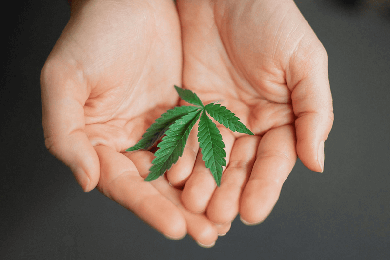 Why Healthy Concentrate Vaporizers Are the Future of Vaping in 2025 6 Why Healthy Concentrate Vaporizers Are the Future of Vaping in 2025