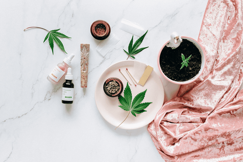 The Definitive Guide to Medical Cannabis: Navigating the Laws, Rules, and Limitations 10 The Definitive Guide to Medical Cannabis: Navigating the Laws, Rules, and Limitations
