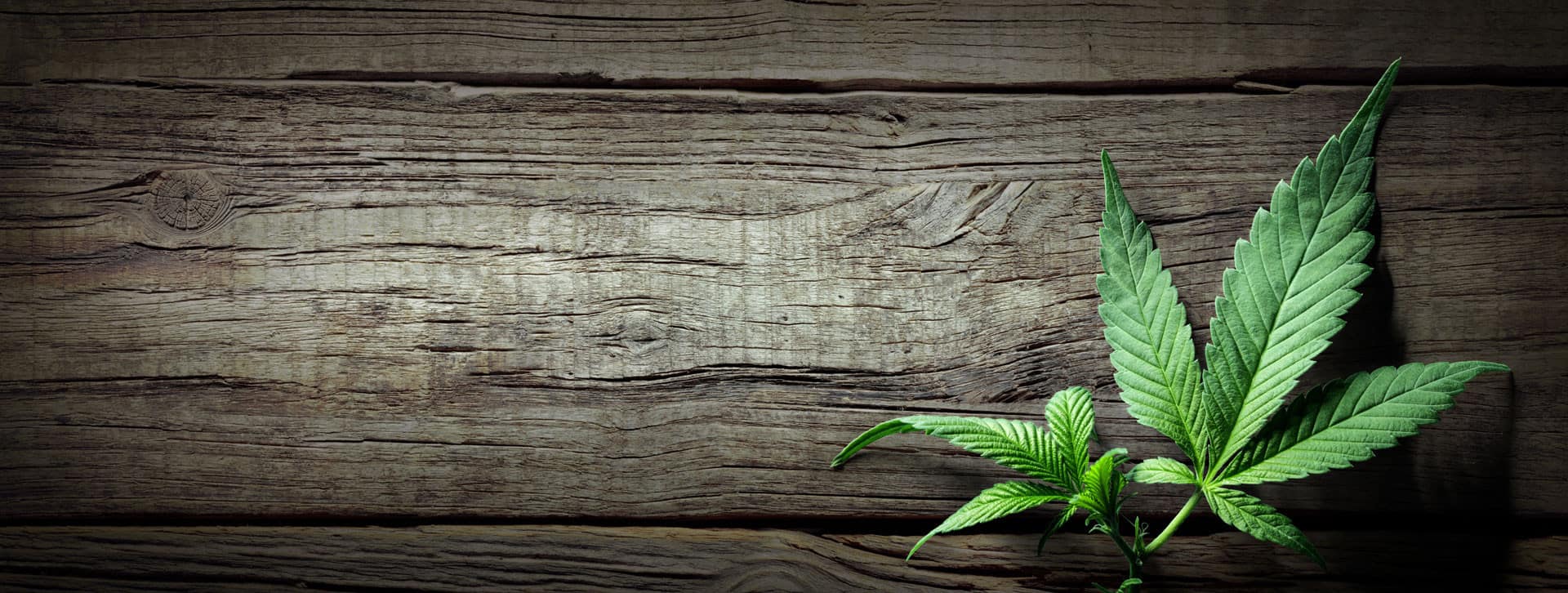 buy vaporizer online